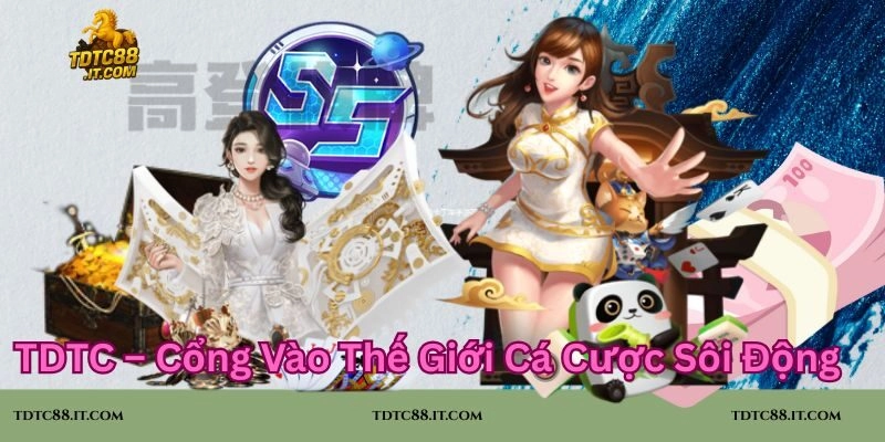 Trang Chủ TDTC – Cổng Vào Thế Giới Cá Cược Sôi Động